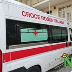 Animale selvatico sulla strada, il camper si ribalta per evitarlo tra Valdilana e Pray (foto di repertorio)