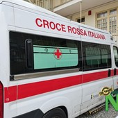 Animale selvatico sulla strada, il camper si ribalta per evitarlo tra Valdilana e Pray (foto di repertorio)