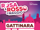 Gattinara, ultimi preparativi per l’edizione 2024 di ROSA E ROSSO DI MAGGIO