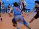 Under 19 Valsesia Basket, stop ad Alessandria contro New Basket Team Under 19 Valsesia Basket, stop ad Alessandria contro New Basket Team