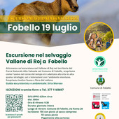 Fobello, escursione guidata nel Vallone del Roj tra natura, storia e vita in alta quota