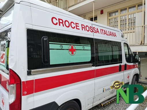 Animale selvatico sulla strada, il camper si ribalta per evitarlo tra Valdilana e Pray (foto di repertorio)