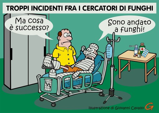 Valsesia, la stagione dei funghi finisce in corsia: Piemonte da bollino rosso