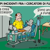 Valsesia, la stagione dei funghi finisce in corsia: Piemonte da bollino rosso