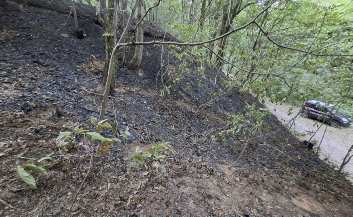 Dal nord ovest: Denunciato volontario Aib del cuneese, è ritenuto responsabile di nove incendi boschivi dolosi appiccati tra Monregalese e Valle Pesio