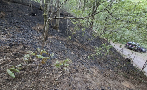 Dal nord ovest: Denunciato volontario Aib del cuneese, è ritenuto responsabile di nove incendi boschivi dolosi appiccati tra Monregalese e Valle Pesio Dal nord ovest: Denunciato volontario Aib del cuneese, è ritenuto responsabile di nove incendi boschivi dolosi appiccati tra Monregalese e Valle Pesio