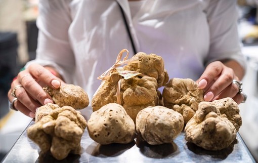 Terra Madre, lavoro e tartufo al centro degli incontri del 26 settembre Terra Madre, lavoro e tartufo al centro degli incontri del 26 settembre