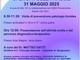 Salute della tiroide: Open Day informativo all'ospedale di Borgosesia