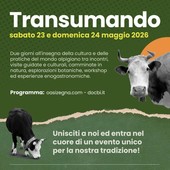 Aspettando Transumando al  santuario della Brughiera tra visite e convegni