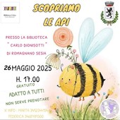 Un mondo da scoprire: le api protagoniste alla Biblioteca di Romagnano