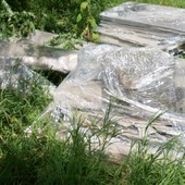 Scoperti cumuli di eternit abbandonati nei boschi di Gattinara: indagano i Carabinieri Forestali