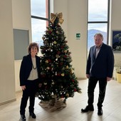 Borgosesia, acceso l’albero di Natale nell’atrio dell’ospedale: un gesto simbolico che unisce comunità e cura