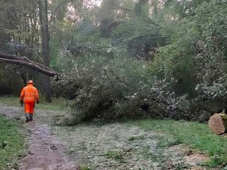 Aib Gattinara, dopo l’incendio interventi anche per i danni del maltempo Aib Gattinara, dopo l’incendio interventi anche per i danni del maltempo