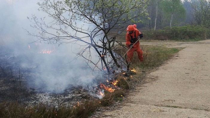 Bosco a Borgosesia in fiamme, Aib valsesiani e biellesi in azione