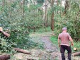 Aib Gattinara, dopo l’incendio interventi anche per i danni del maltempo Aib Gattinara, dopo l’incendio interventi anche per i danni del maltempo