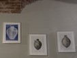 Ghemme, a Spazio E la mostra “Acqua eterno fascino” di Armando Fettolini Ghemme, a Spazio E la mostra “Acqua eterno fascino” di Armando Fettolini