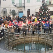 &quot;Alberi in rima e Albero di Tutti&quot;: Fondazione Marazzato presenta le iniziative 2025