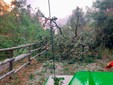 Aib Gattinara, dopo l’incendio interventi anche per i danni del maltempo Aib Gattinara, dopo l’incendio interventi anche per i danni del maltempo