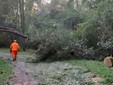 Aib Gattinara, dopo l’incendio interventi anche per i danni del maltempo Aib Gattinara, dopo l’incendio interventi anche per i danni del maltempo