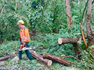 Aib Gattinara, dopo l’incendio interventi anche per i danni del maltempo Aib Gattinara, dopo l’incendio interventi anche per i danni del maltempo