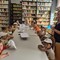 Varallo: I bambini della Tere’s House vanno in vacanza
