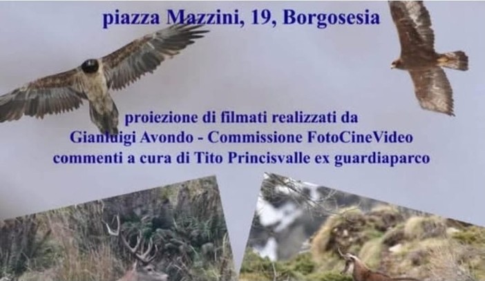 Borgosesia, una serata per scoprire la fauna valsesiana con il CAI e gli esperti del territorio Borgosesia, una serata per scoprire la fauna valsesiana con il CAI e gli esperti del territorio