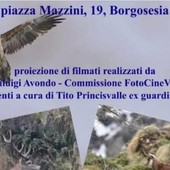 Borgosesia, una serata per scoprire la fauna valsesiana con il CAI e gli esperti del territorio