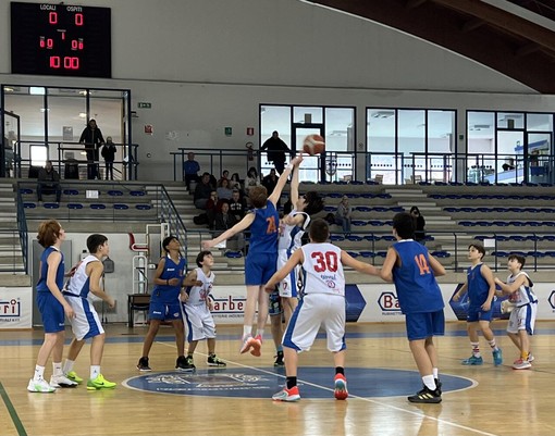 Barberi Valsesia Basket sconfitti 19 – 43: “Abbiamo avuto un atteggiamento morbido” - Foto di Letizia Bertini.