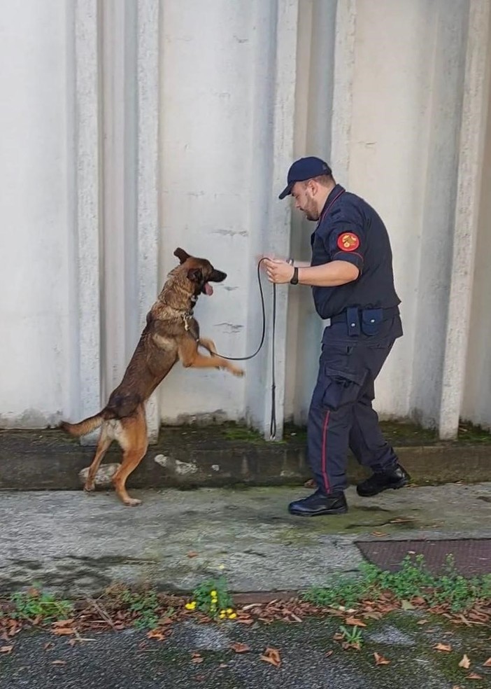 Unità cinofila nelle scuole e nei parchi di Vercelli: prevenzione antidroga tra i giovani