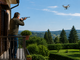 È legale che un drone voli sul mio giardino? È legale che un drone voli sul mio giardino?