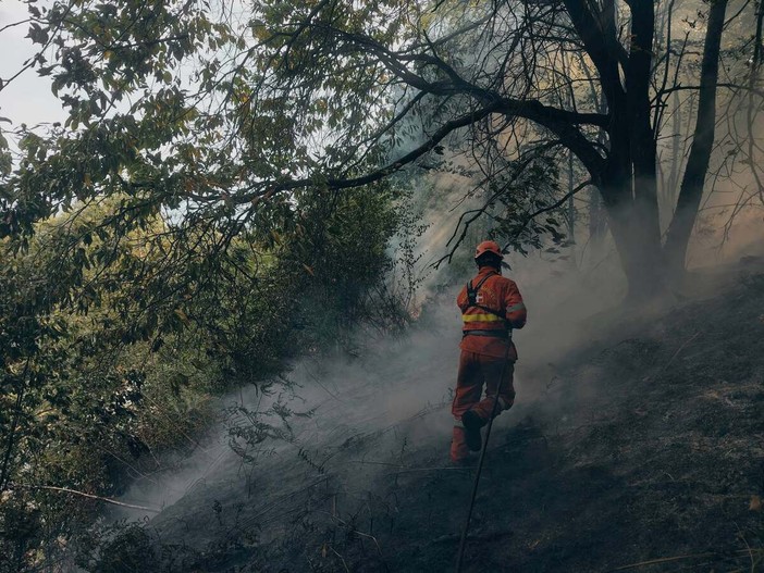 Avanzano le fiamme in Valsessera: cinque presidi per fermarne l'avanzata - Foto pagina Facebook AIB Bruzolo Avanzano le fiamme in Valsessera: cinque presidi per fermarne l'avanzata - Foto pagina Facebook AIB Bruzolo