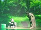 “Tau. Nel nome di Francesco”, il Teatro Civico di Varallo si riempie di emozioni