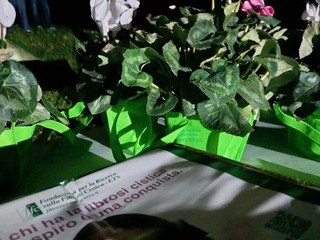 Carpignano Sesia, al Parco Scimbla lo spettacolo “Francesco, giullare di Dio” Carpignano Sesia, al Parco Scimbla lo spettacolo “Francesco, giullare di Dio”