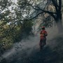 Avanzano le fiamme in Valsessera: cinque presidi per fermarne l'avanzata - Foto pagina Facebook AIB Bruzolo Avanzano le fiamme in Valsessera: cinque presidi per fermarne l'avanzata - Foto pagina Facebook AIB Bruzolo