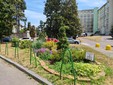 Vercelli, dal progetto “Giardino è vita sociale” nasce una borsa lavoro per un utente del Nucleo autismo Vercelli, dal progetto “Giardino è vita sociale” nasce una borsa lavoro per un utente del Nucleo autismo