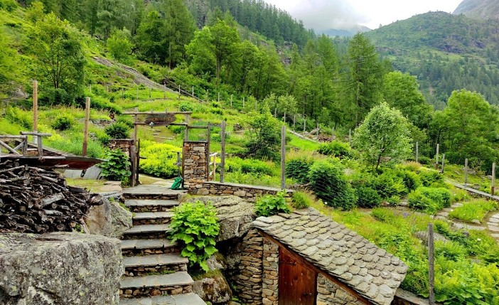 Alagna, l’allarme di Mario Soster sul Giardino Botanico Fum Bitz: «È in stato di abbandono»
