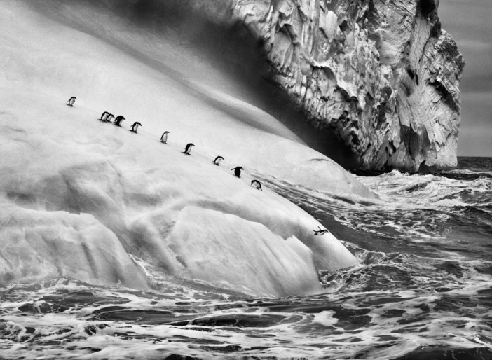 “Ghiacciai”: 54 fotografie di Sebastião Salgado in mostra al Forte di Bard