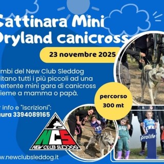 Gattinara, il 23 novembre arriva il Mini Dryland Canicross per bambini