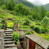 Alagna, l’allarme di Mario Soster sul Giardino Botanico Fum Bitz: «È in stato di abbandono»