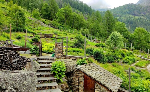 Alagna, l’allarme di Mario Soster sul Giardino Botanico Fum Bitz: «È in stato di abbandono»