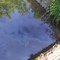 Idrocarburi nel Torrente Cervetto: individuata la fonte dello sversamento