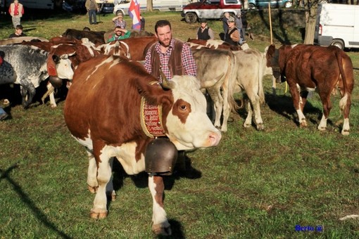 Scopello, ultimo weekend di settembre tra Cena di San Michele e Fiera Agricola Scopello, ultimo weekend di settembre tra Cena di San Michele e Fiera Agricola
