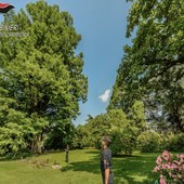 21 novembre 2025, Giornata Nazionale degli Alberi: un progetto nazionale di educazione ambientale 21 novembre 2025, Giornata Nazionale degli Alberi: un progetto nazionale di educazione ambientale