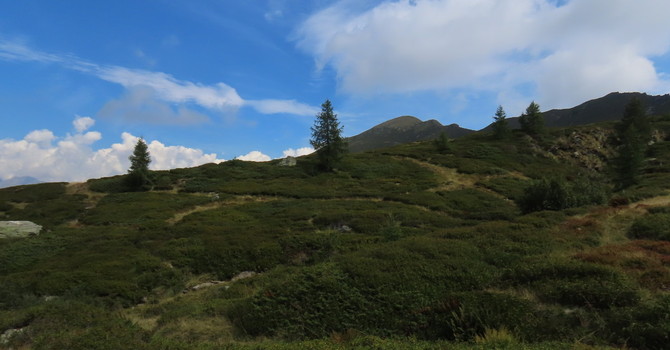 All’Alpe Sorbella un progetto da 193mila euro per tutelare pascoli, torbiere e fagiano di monte