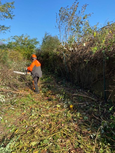 Borgosesia: Si pulisce il Sesia da Isolella ad Aranco a difesa del rione Isola