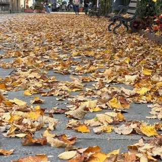 Varallo, l’Allea nel degrado: cresce il malcontento per la scarsa cura degli spazi pubblici