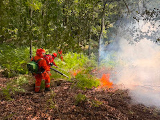 Valsesia e Valsessera, riaperta la raccolta per potenziare le squadre AIB e Protezione Civile Valsesia e Valsessera, riaperta la raccolta per potenziare le squadre AIB e Protezione Civile