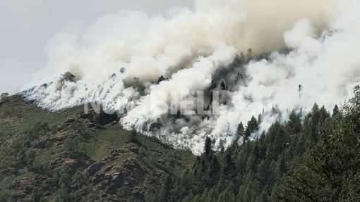 Valessera, l'incendio si propaga a valle: AIB e Vigili del Fuoco in azione Valessera, l'incendio si propaga a valle: AIB e Vigili del Fuoco in azione