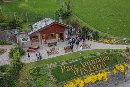 Parc Animalier d’Introd in Valle d'Aosta: la natura alpina a un passo dal Biellese