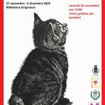 Grignasco celebra Franco Fizzotti: in Biblioteca la mostra “Sguardi Felini e Altri Racconti” Grignasco celebra Franco Fizzotti: in Biblioteca la mostra “Sguardi Felini e Altri Racconti”